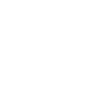 HSO